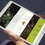 בניית אתרים ברמה הגבוהה ביותר